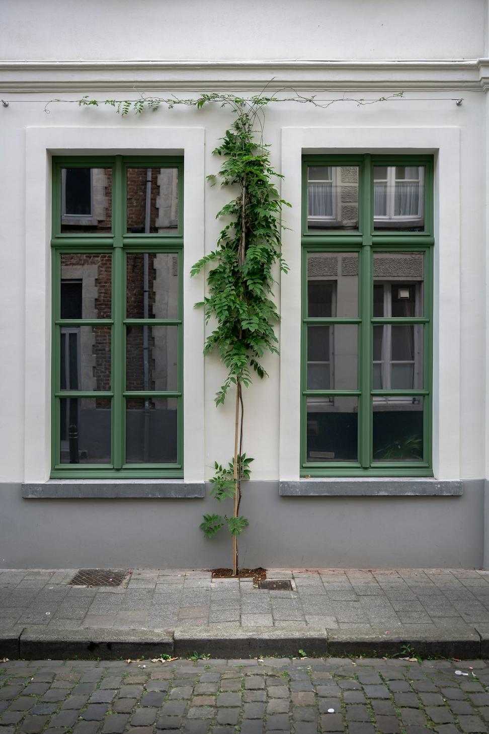 Lakeshore Eco-Home